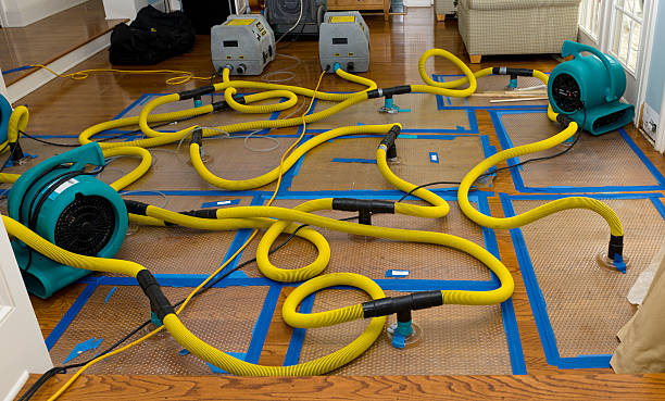 Professional Crawl Space Water Removal technician working in Albion, PA